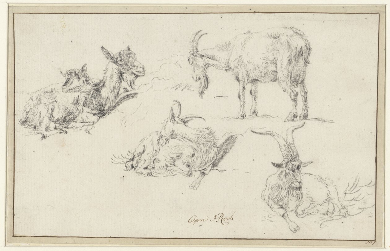 Studien von einer Ziege von Johann Heinrich Roos (possibly)