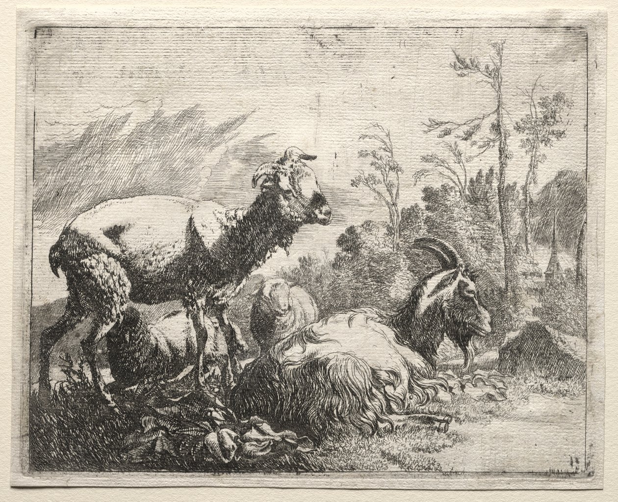 Ziegen von Johann Heinrich Roos