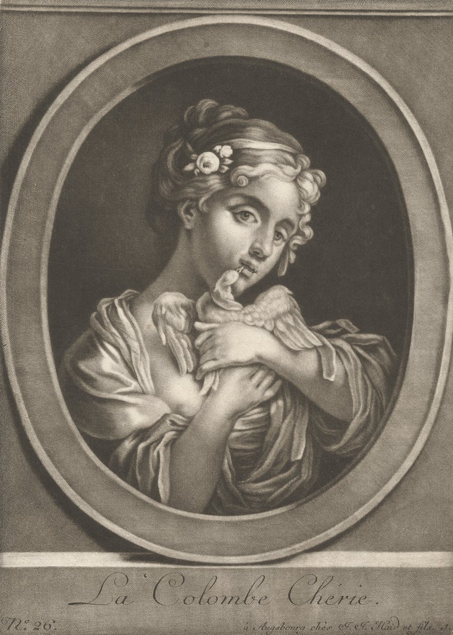 Die geliebte Taube von Johann Jacobus Haid