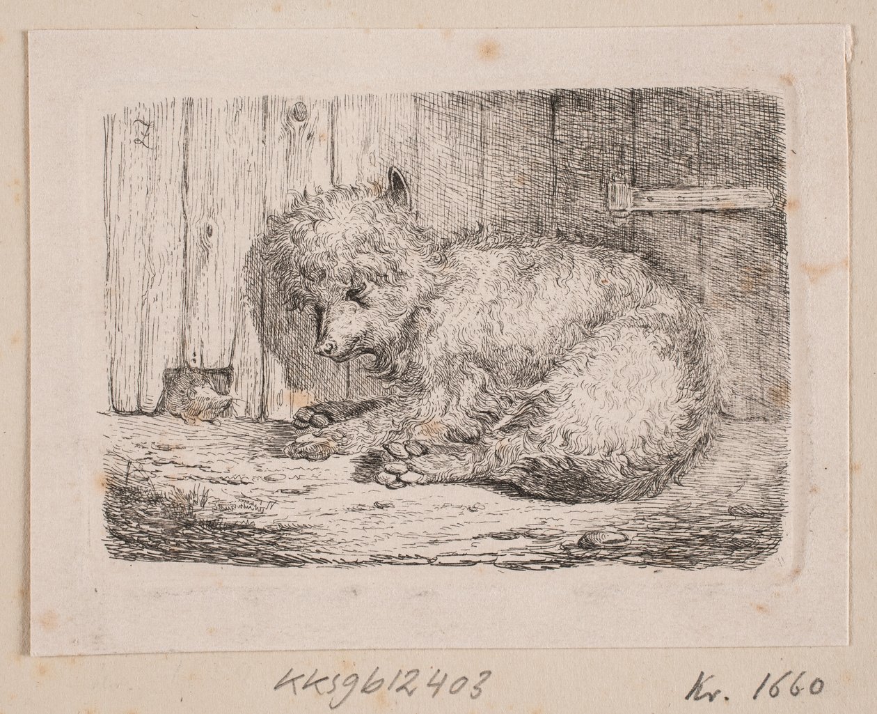 Ein langhaariger Hund von Johannes Wilhelm Zillen