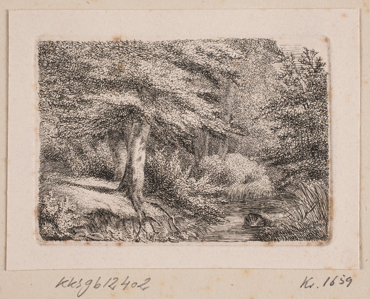Waldszene von Johannes Wilhelm Zillen