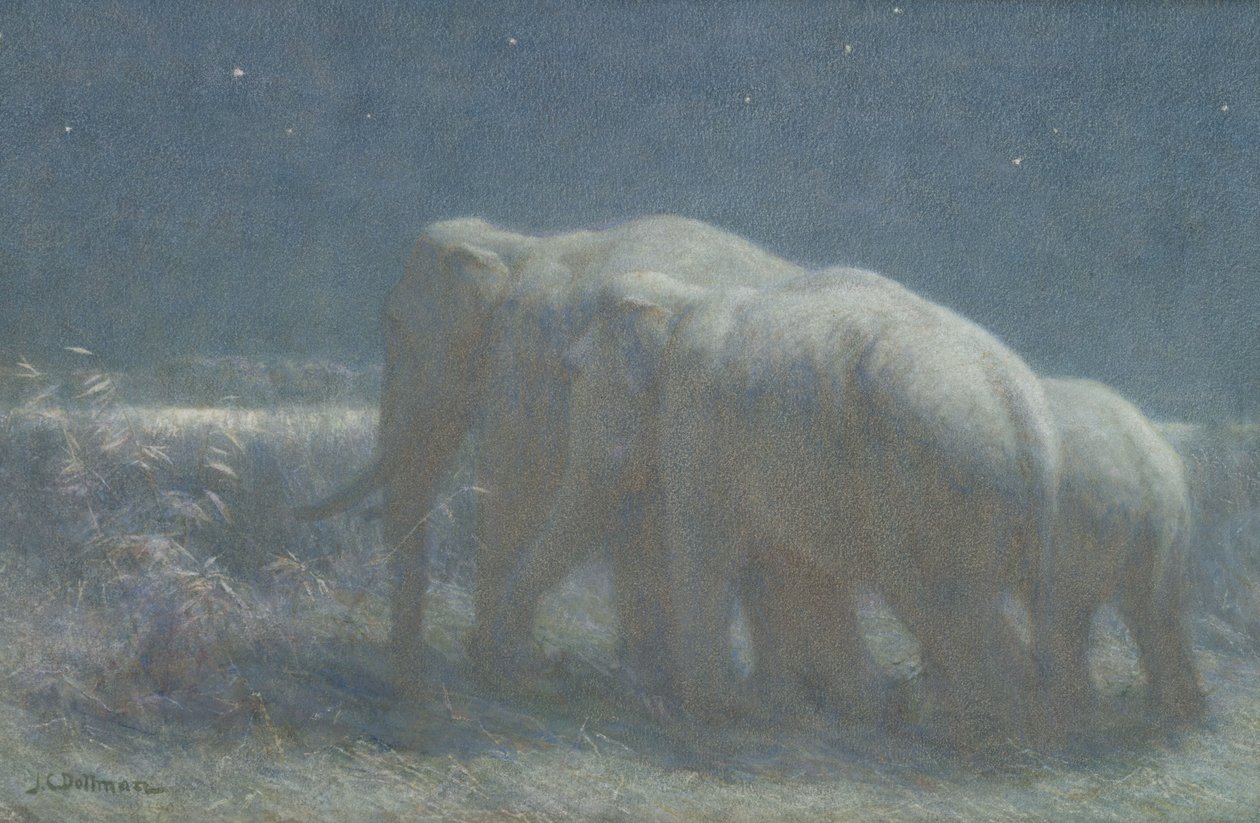 Nacht, 1908 von John Charles Dollman