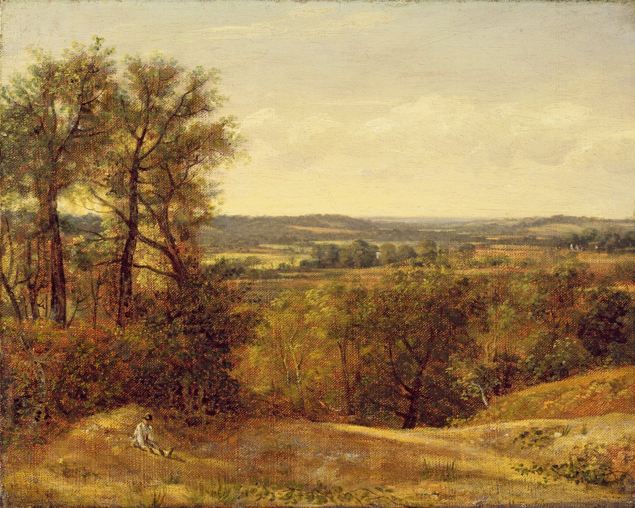 Dedham Vale, ca. 1802 von John Constable