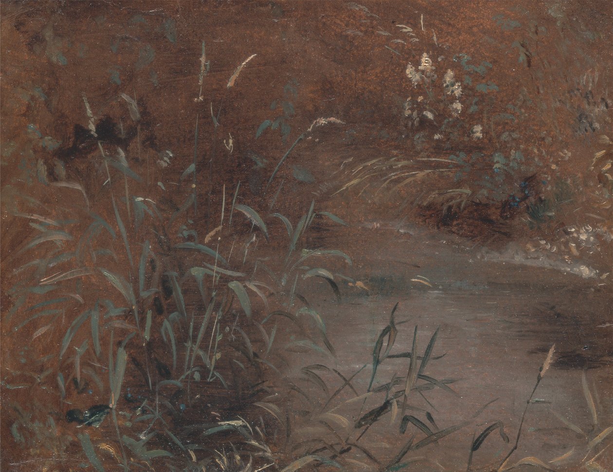 Schilf an einem Teich von John Constable
