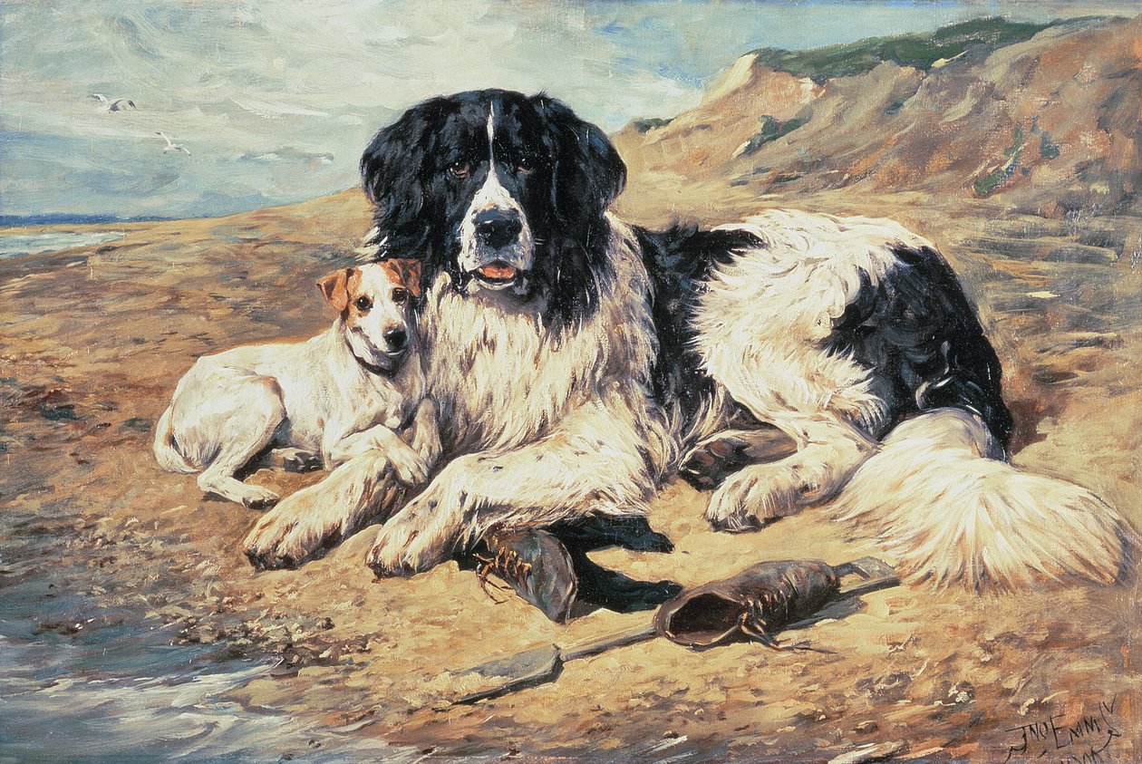 Hunde beobachten Badende, 1900 von John Emms