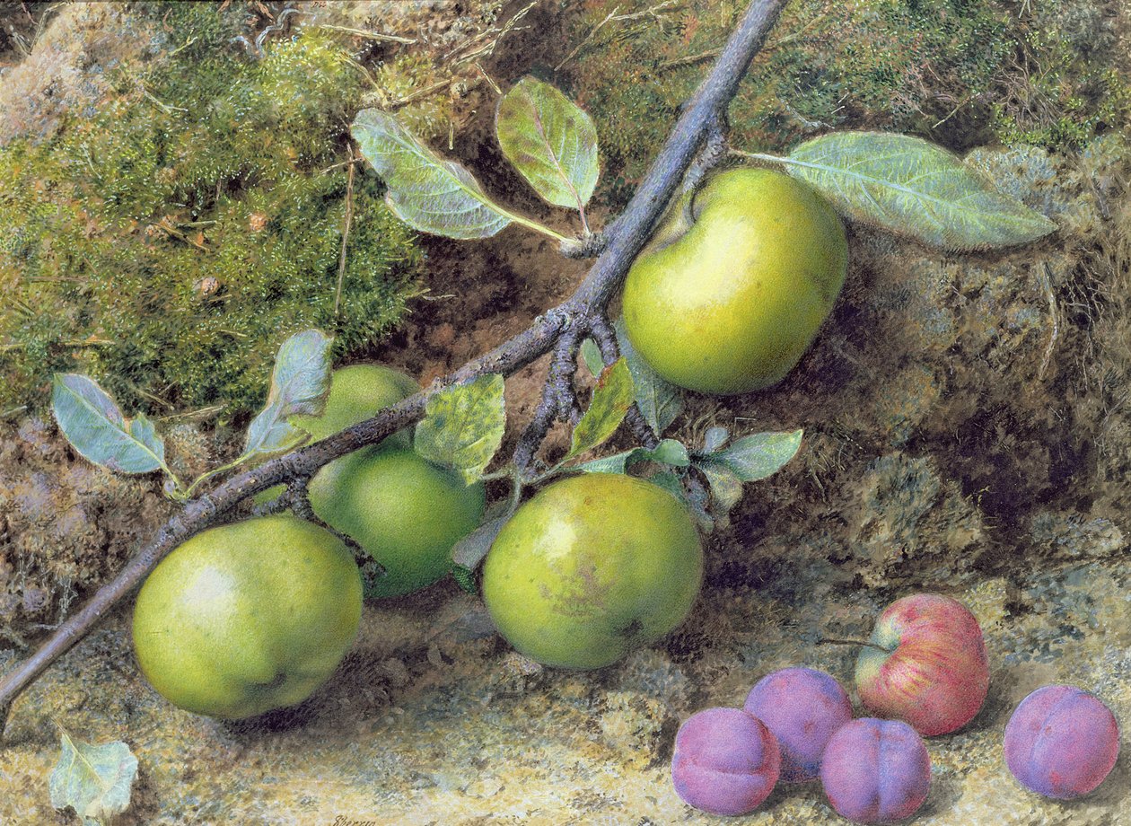 Äpfel und Pflaumen auf einem moosigen Ufer von John Sherrin