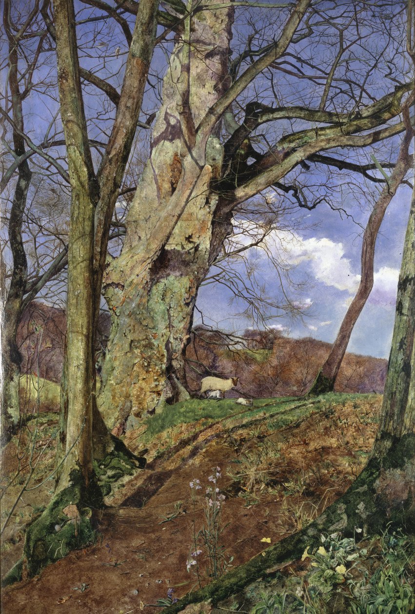 Im frühen Frühling: Eine Studie im März von John William Inchbold