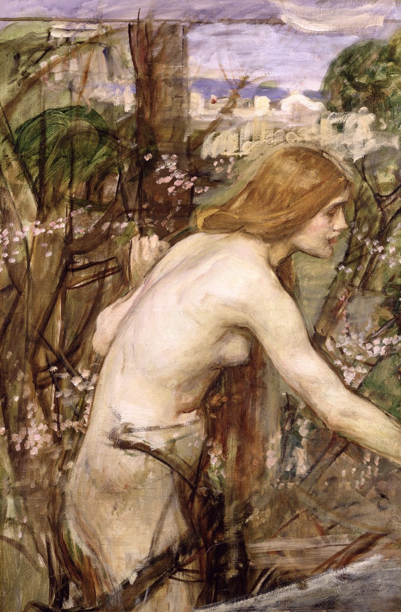 Die Blumenpflückerin von John William Waterhouse