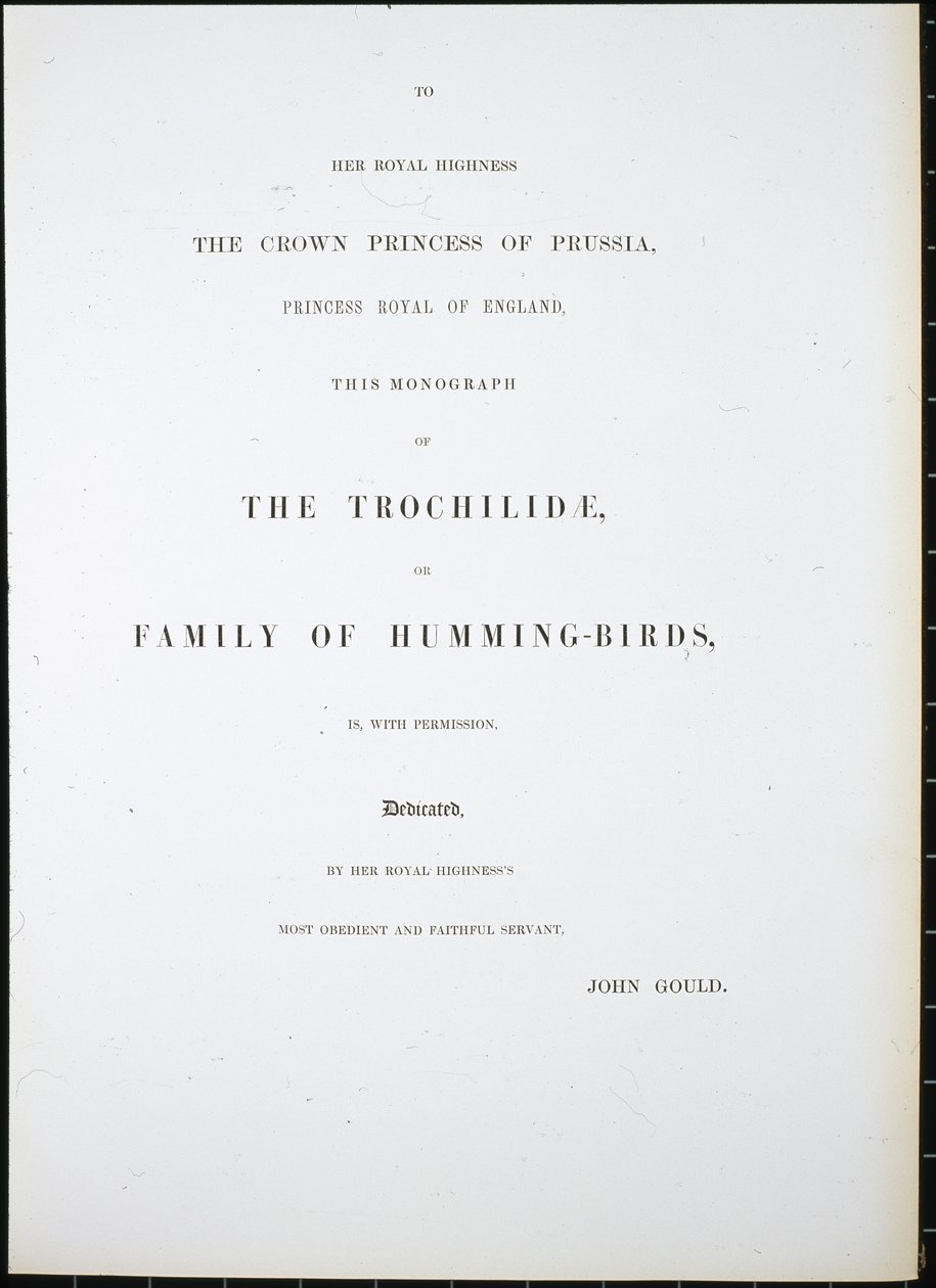Frontispiz von John (after) Gould