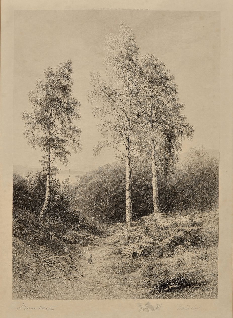 Die drei Grazien von John (after) MacWhirter