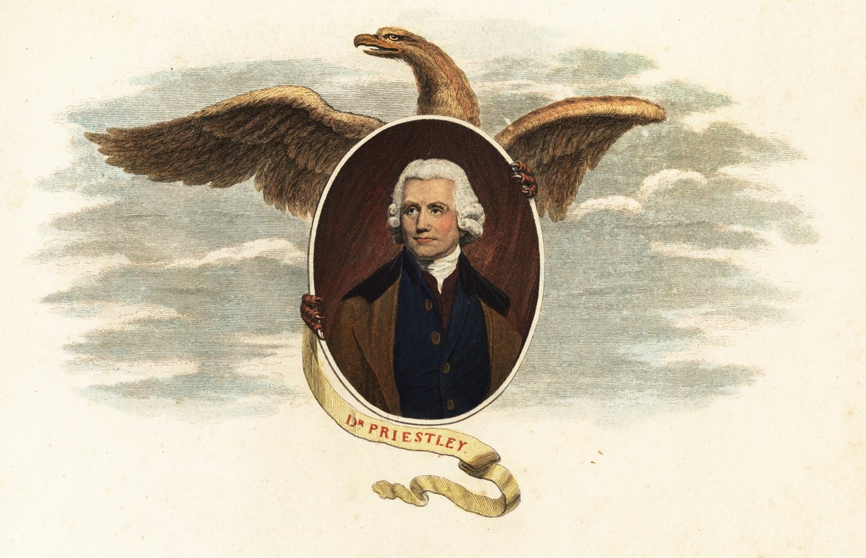 Dr. Joseph Priestley, Theologe und Wissenschaftler von John (after) Opie