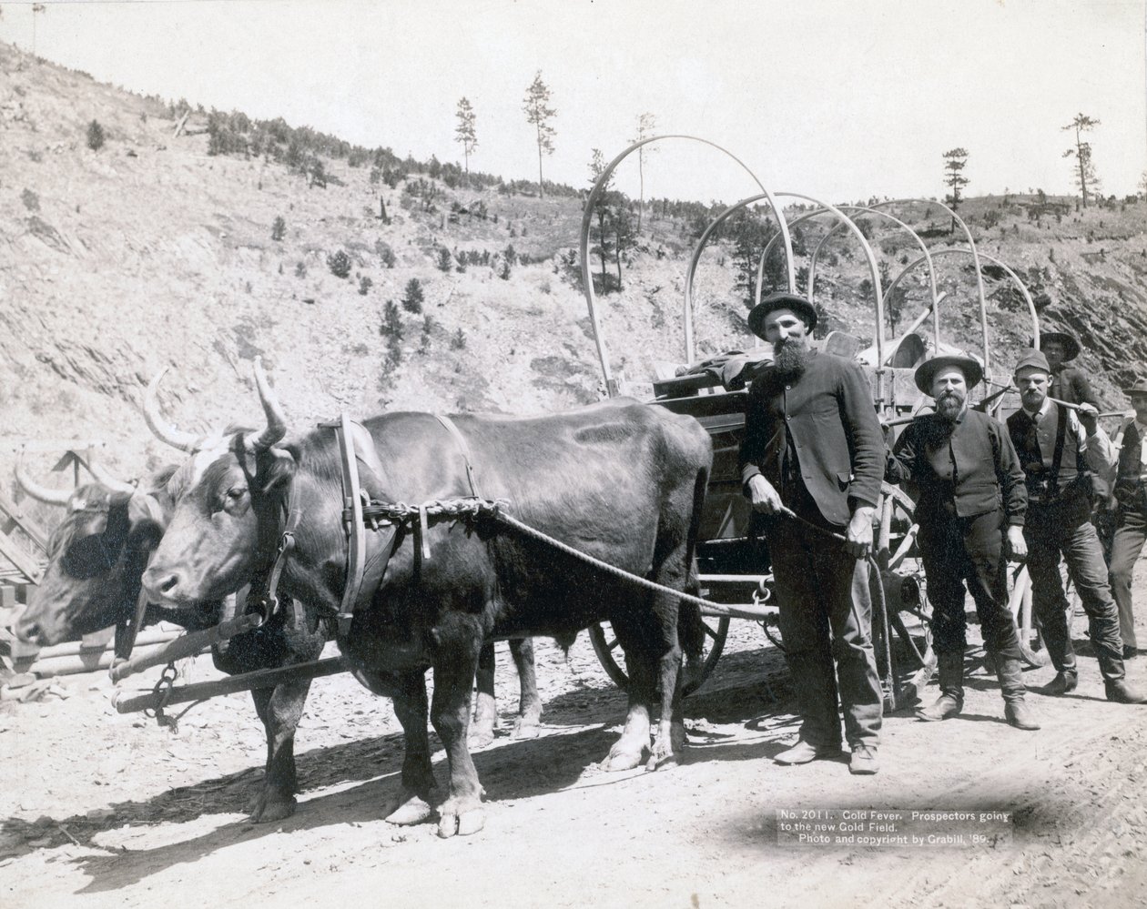 Goldrausch in South Dakota von John C. H. Grabill