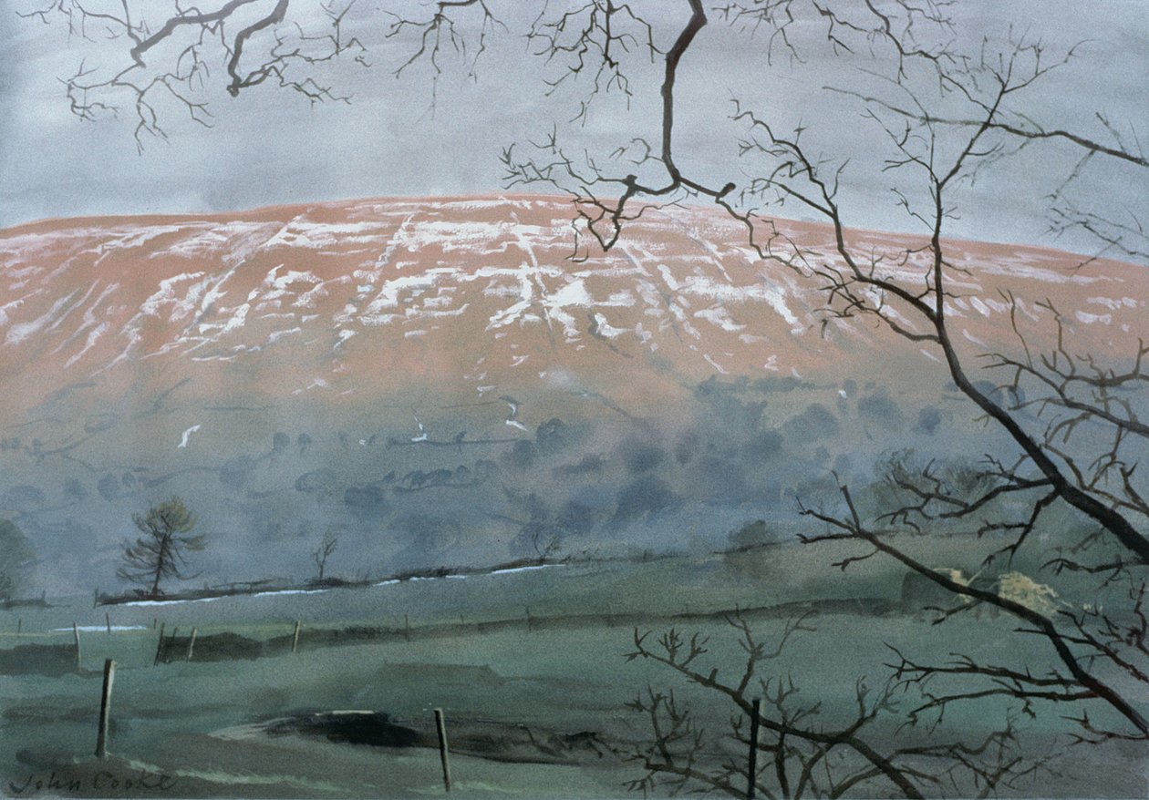 Rise Hill im Dezember, 1991 von John Cooke