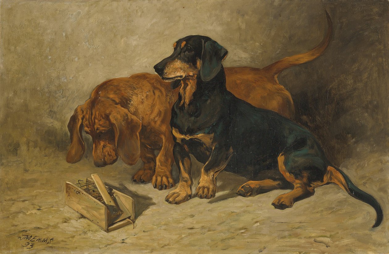 Dackel, 1993 von John Emms