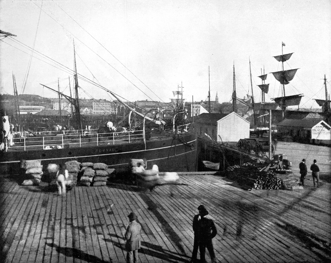 Hafen von Auckland, Neuseeland, 1893 von John L. Stoddard