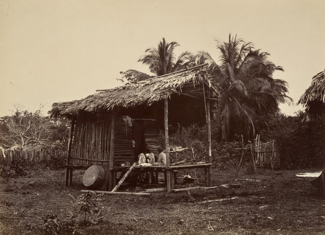 Tropische Landschaft, Einheimische Hütte, Turbo, 1871 von John Moran