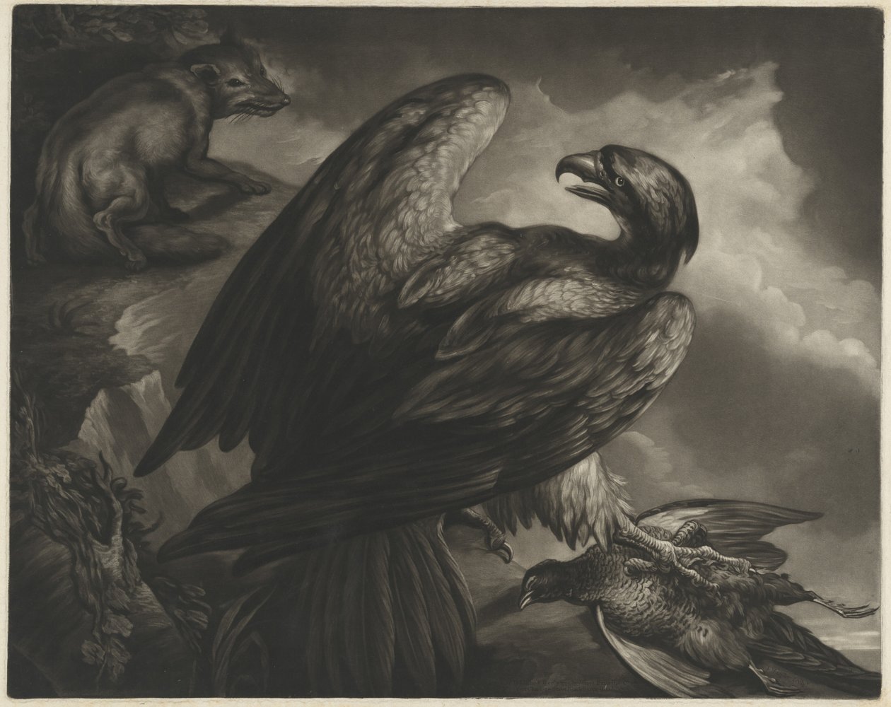 Adler und Fuchs von John Murphy after James Northcote