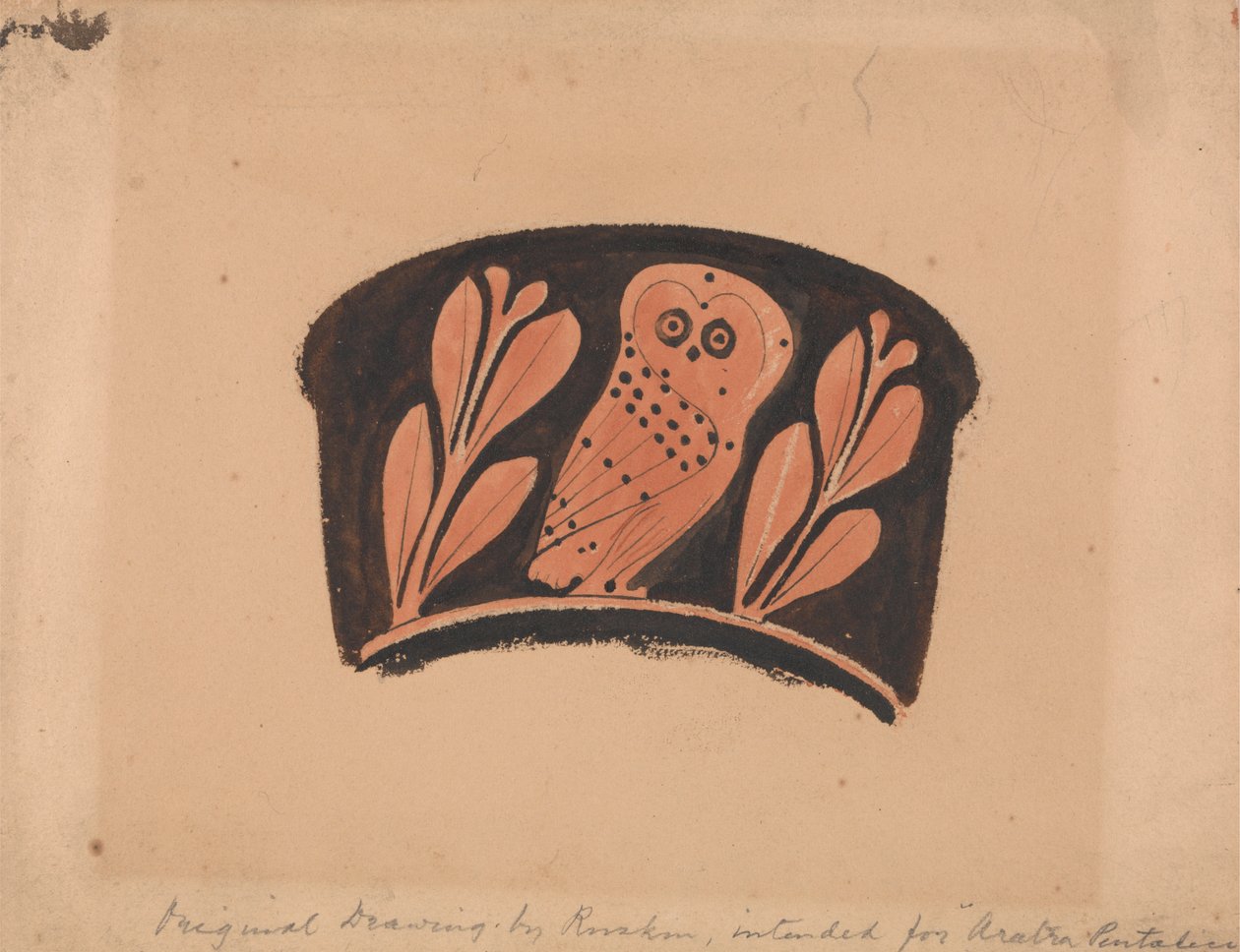 Eule, nach einem attischen Kantharos von John Ruskin