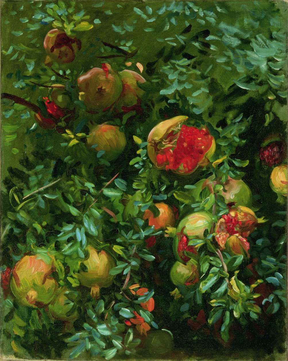 Granatäpfel, Mallorca, ca. 1908 von John Singer Sargent