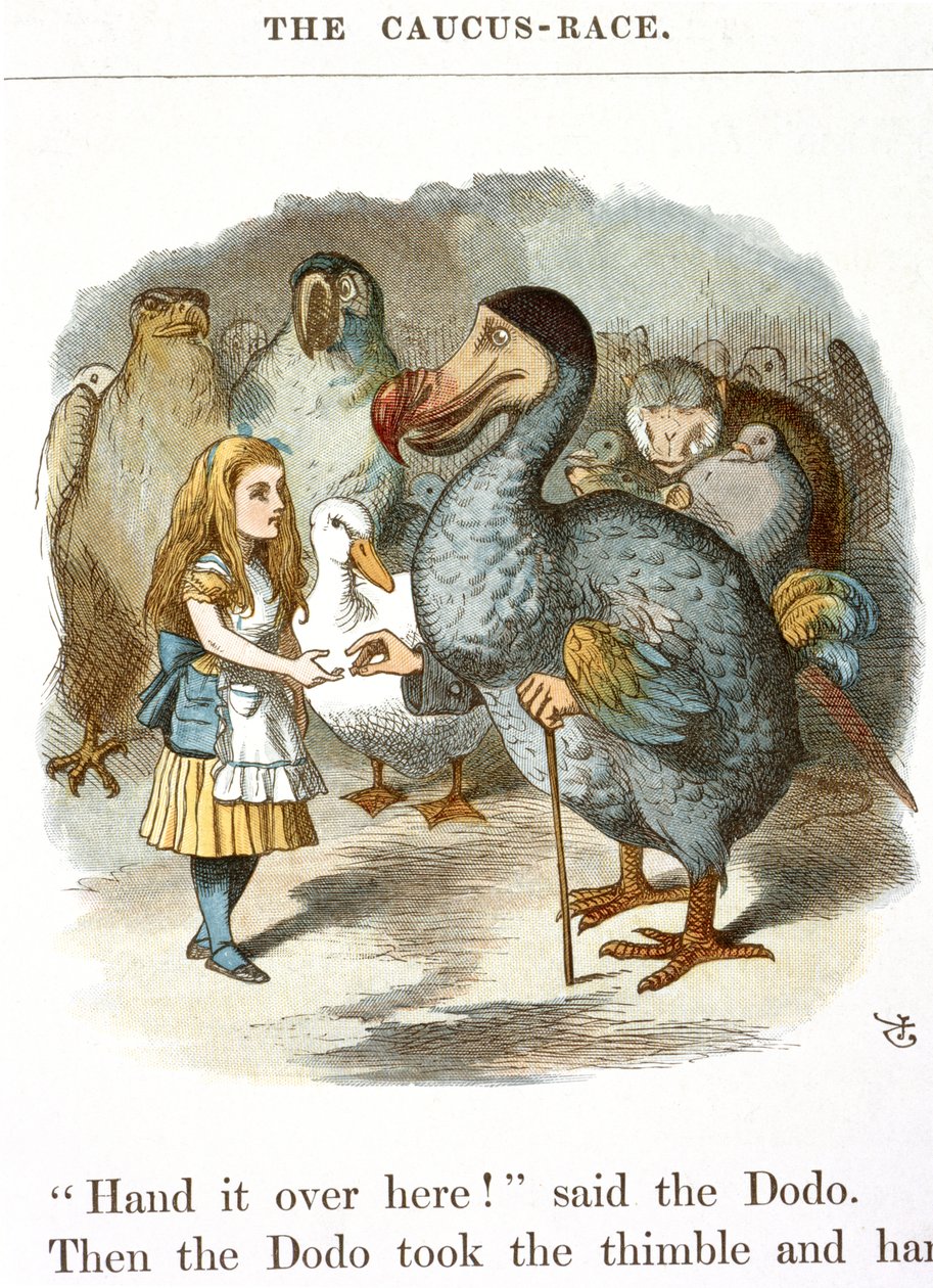 Das Caucus-Rennen von John Tenniel