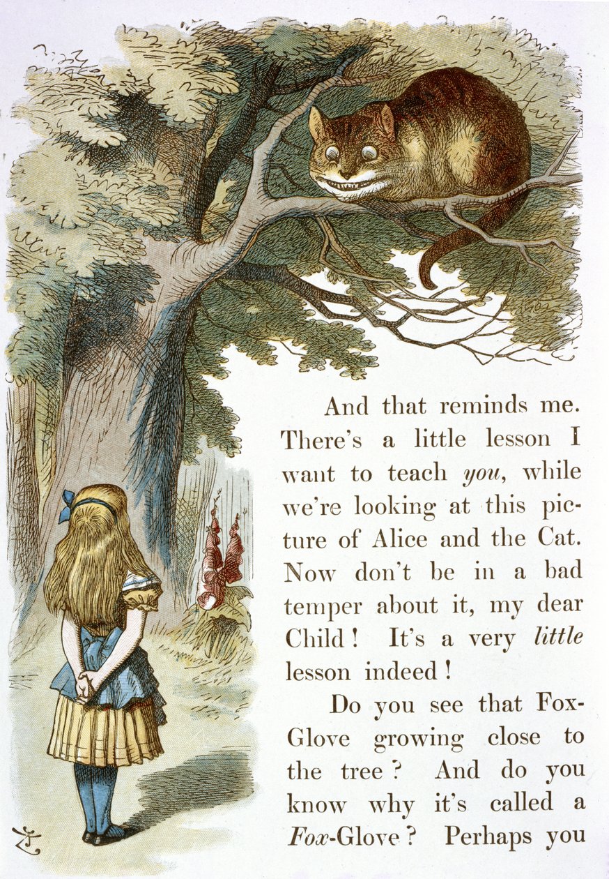 Die Grinsekatze von John Tenniel