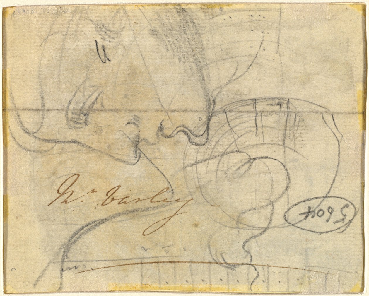 Studie eines Kopfes im Profil [verso] von John Varley