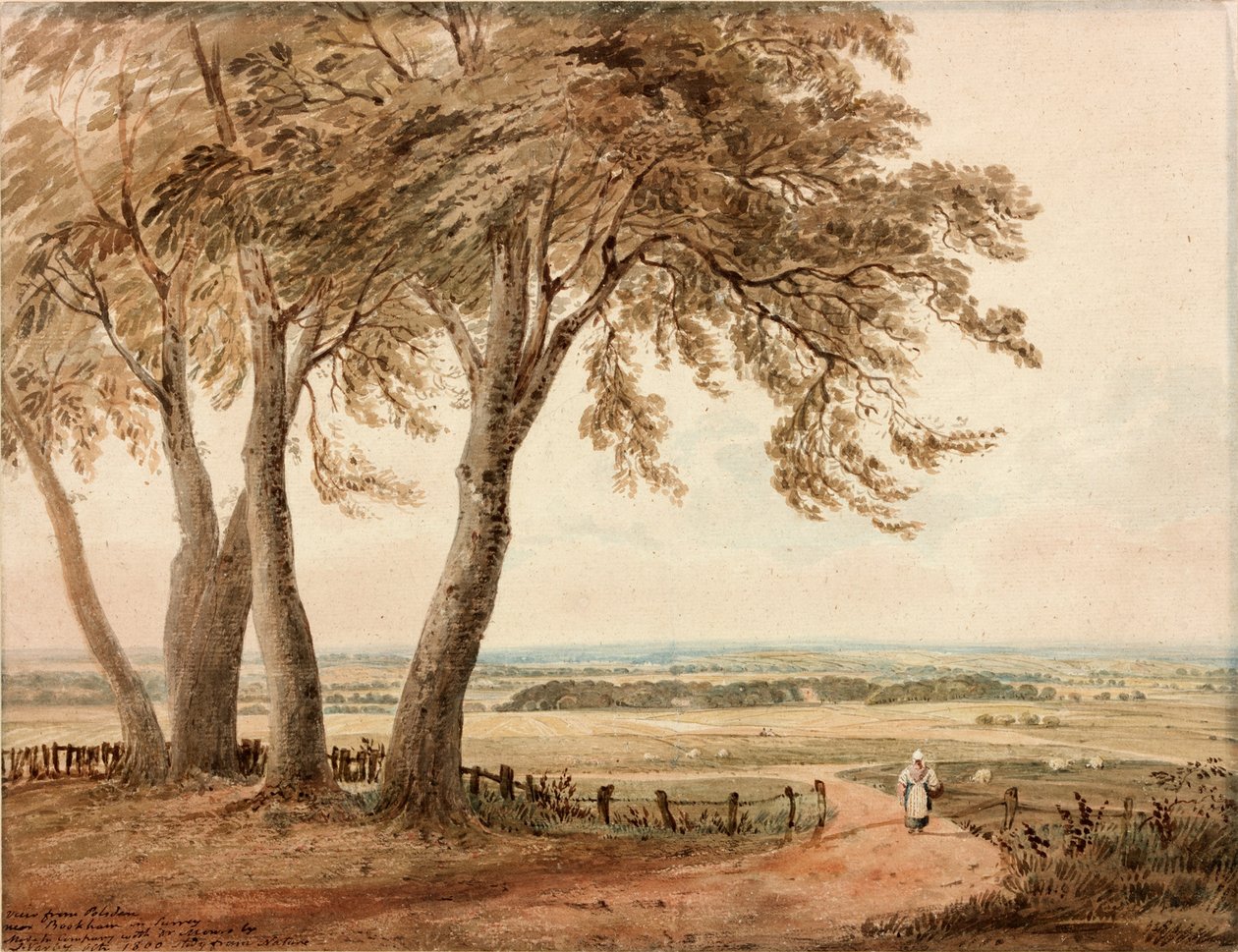 Blick von Polsden bei Bookham in Surrey von John Varley