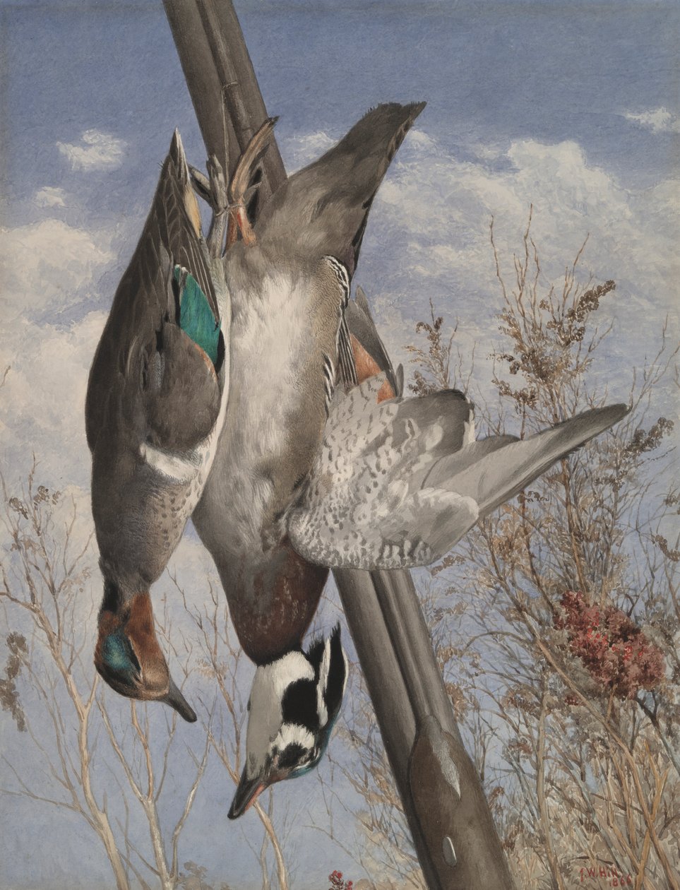 Hängende Wildvögel von John William Hill