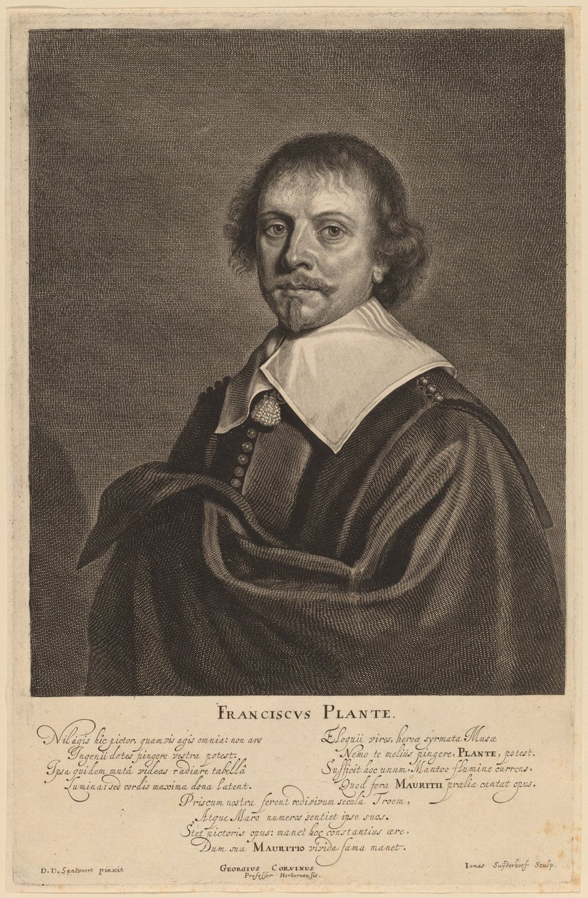 Franciscus Plante von Jonas Suyderhoff after Pieter Dircksz Santvoort