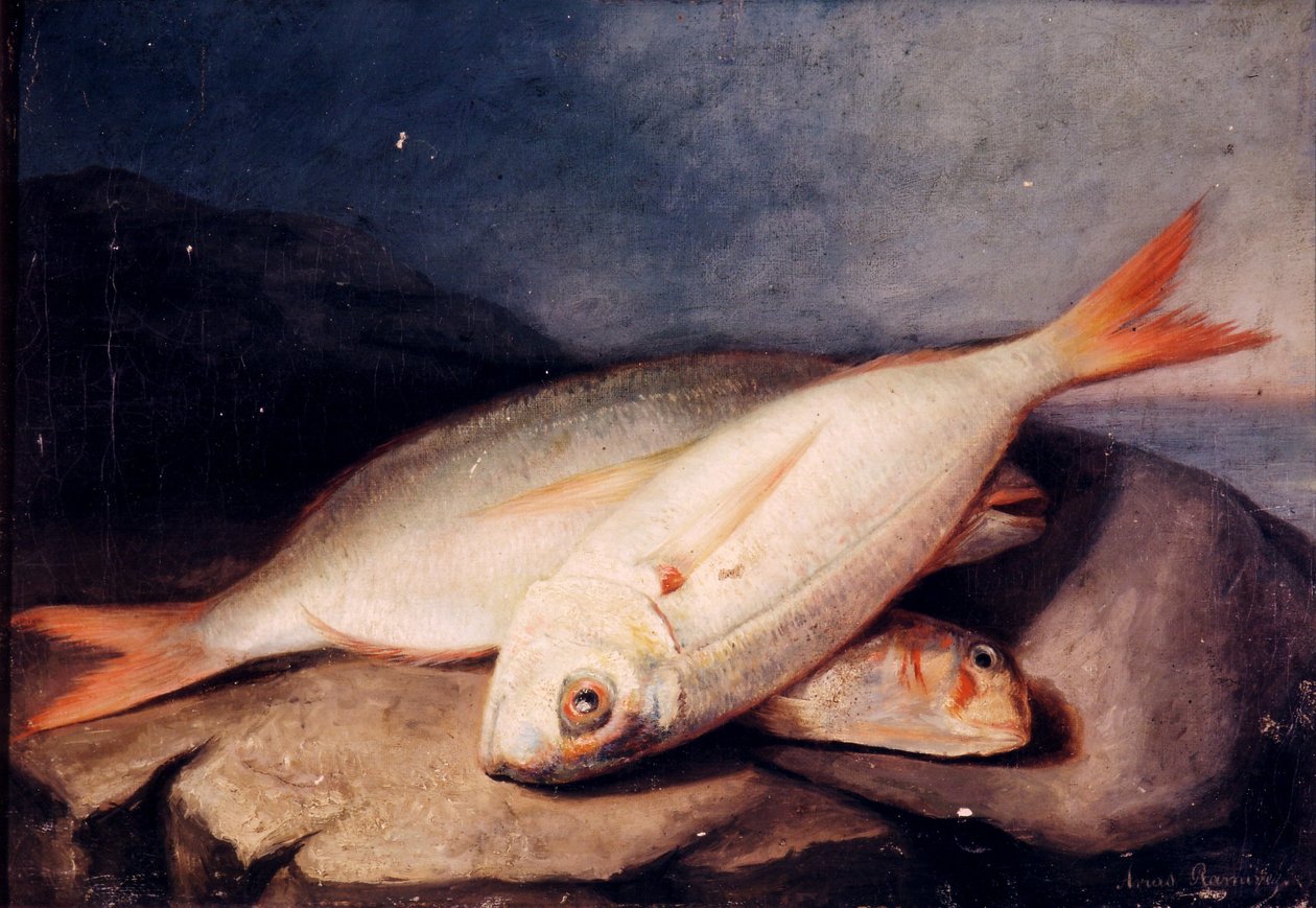 Stillleben mit Fischen von José Arias Ramírez