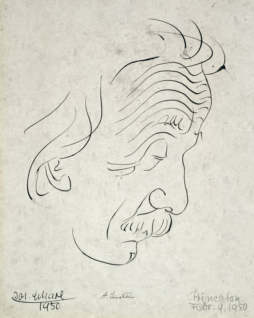 Albert Einstein von Josef Scharl