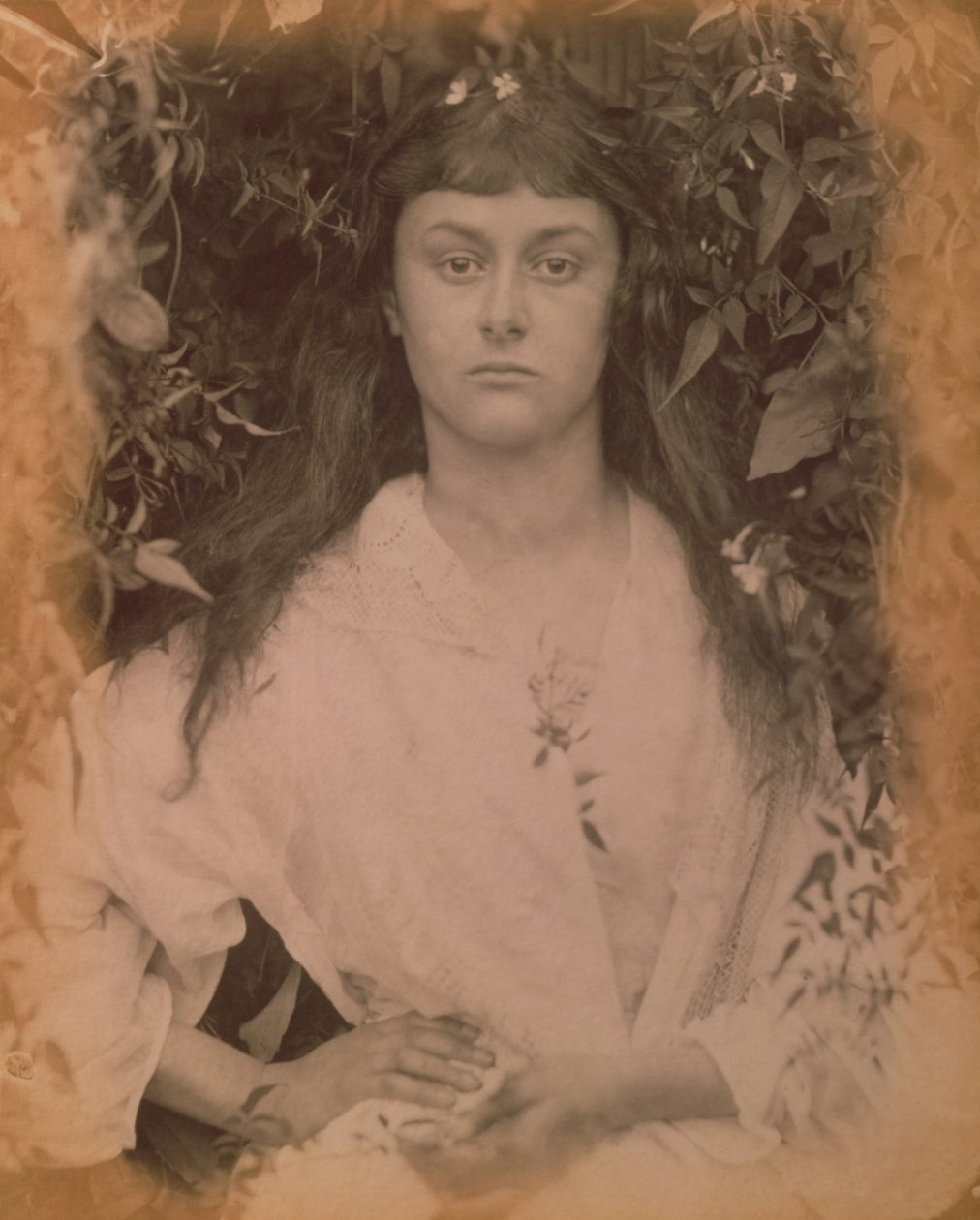 Pomona, 1872 von Julia Margaret Cameron