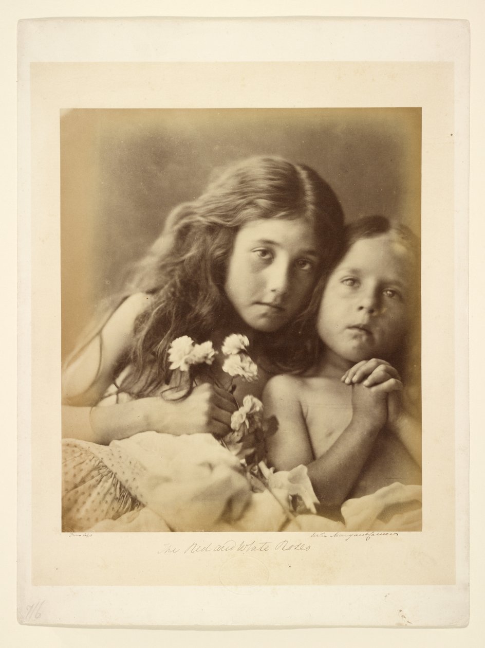 Die roten und weißen Rosen von Julia Margaret Cameron