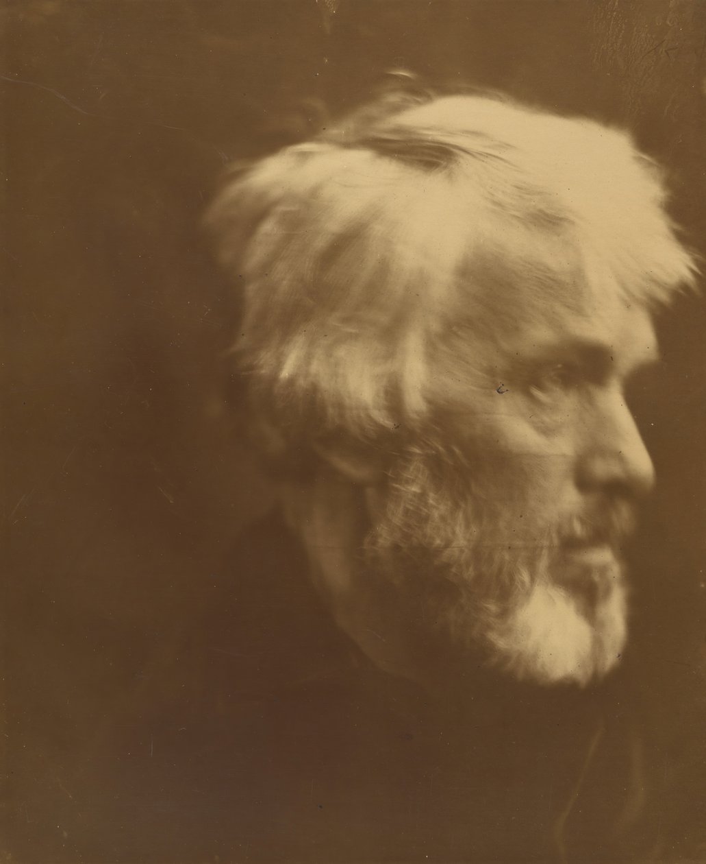 Thomas Carlyle, 1867 von Julia Margaret Cameron