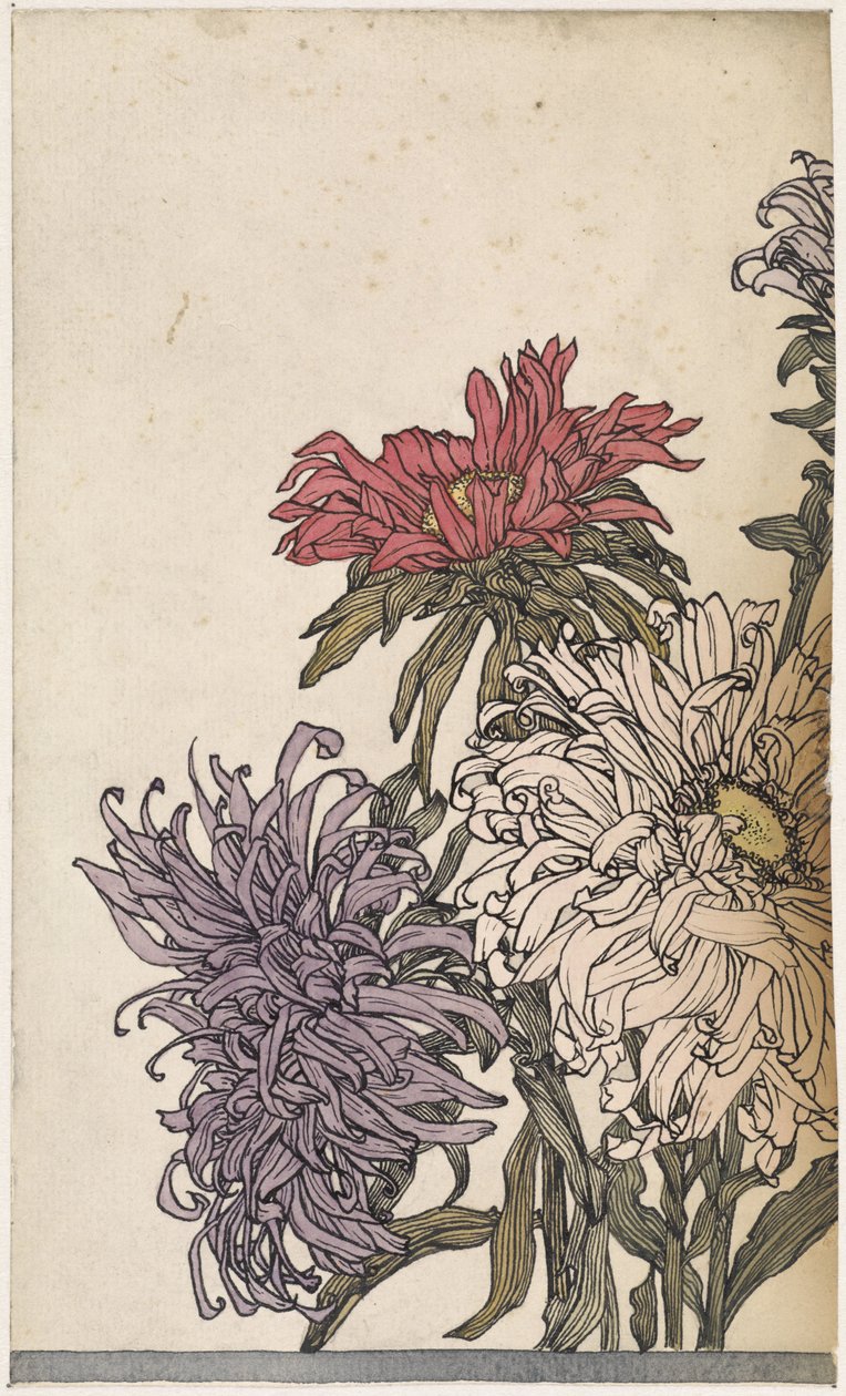 Chrysanthemen von Julie de Graag