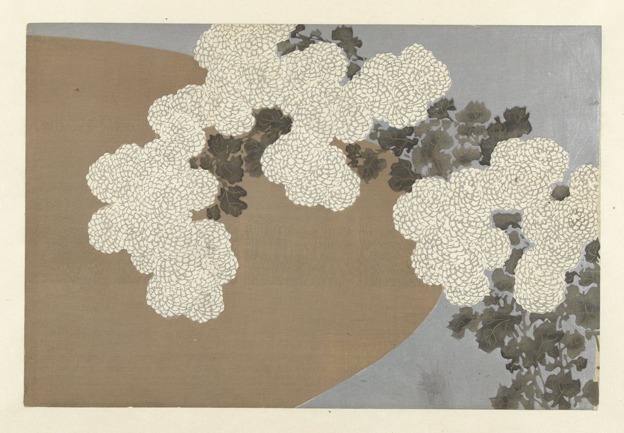 Chrysanthemen, 1909 (Holzschnitt) von Kamisaka Sekka