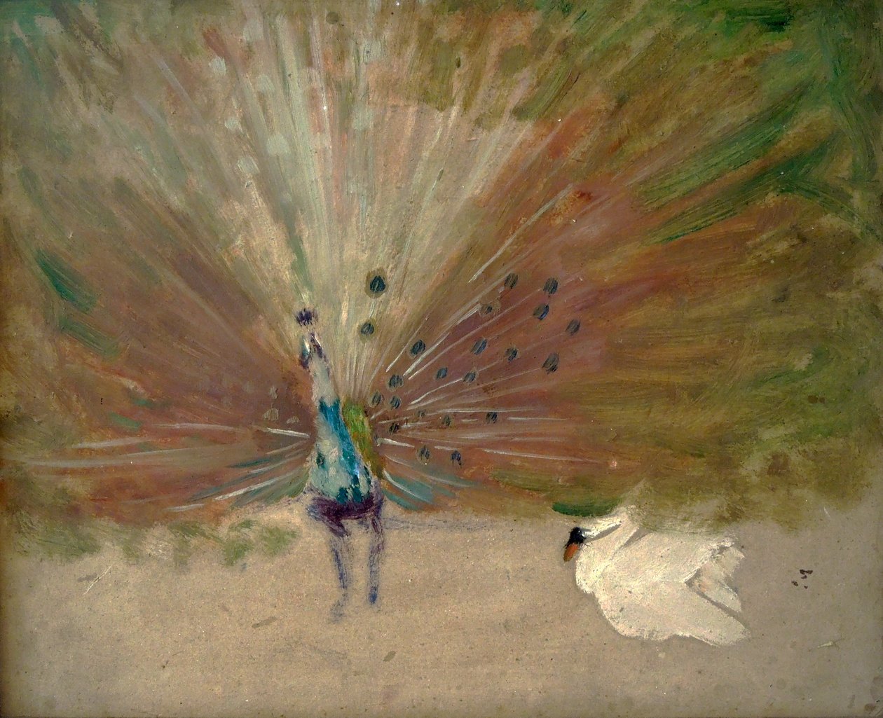 Pfau und Schwan von Karel Spillar