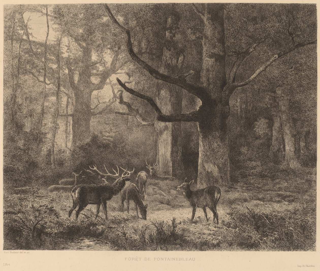 Wald von Fontainebleau von Karl Bodmer