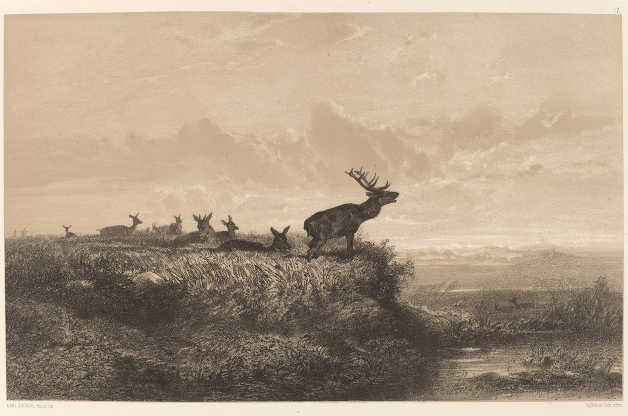 Der Morgen. Hirsch und Rehe von Karl Bodmer