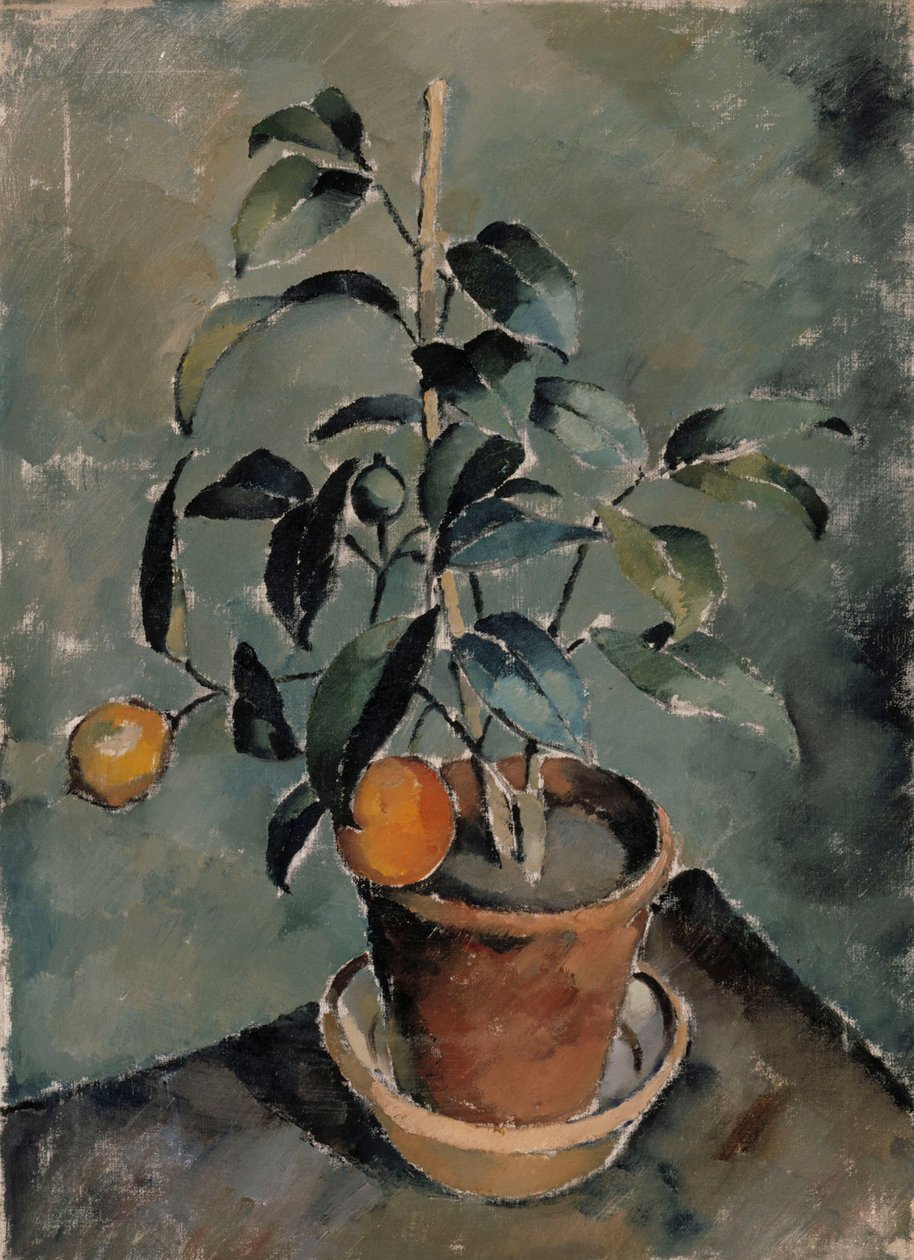 Orangenpflanze von Karl Isakson