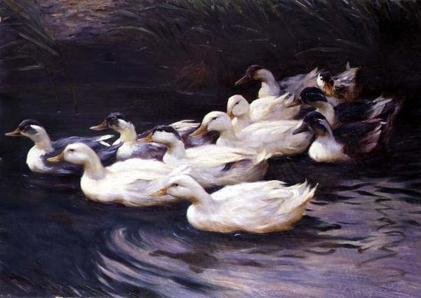 Enten von Karl Lindner