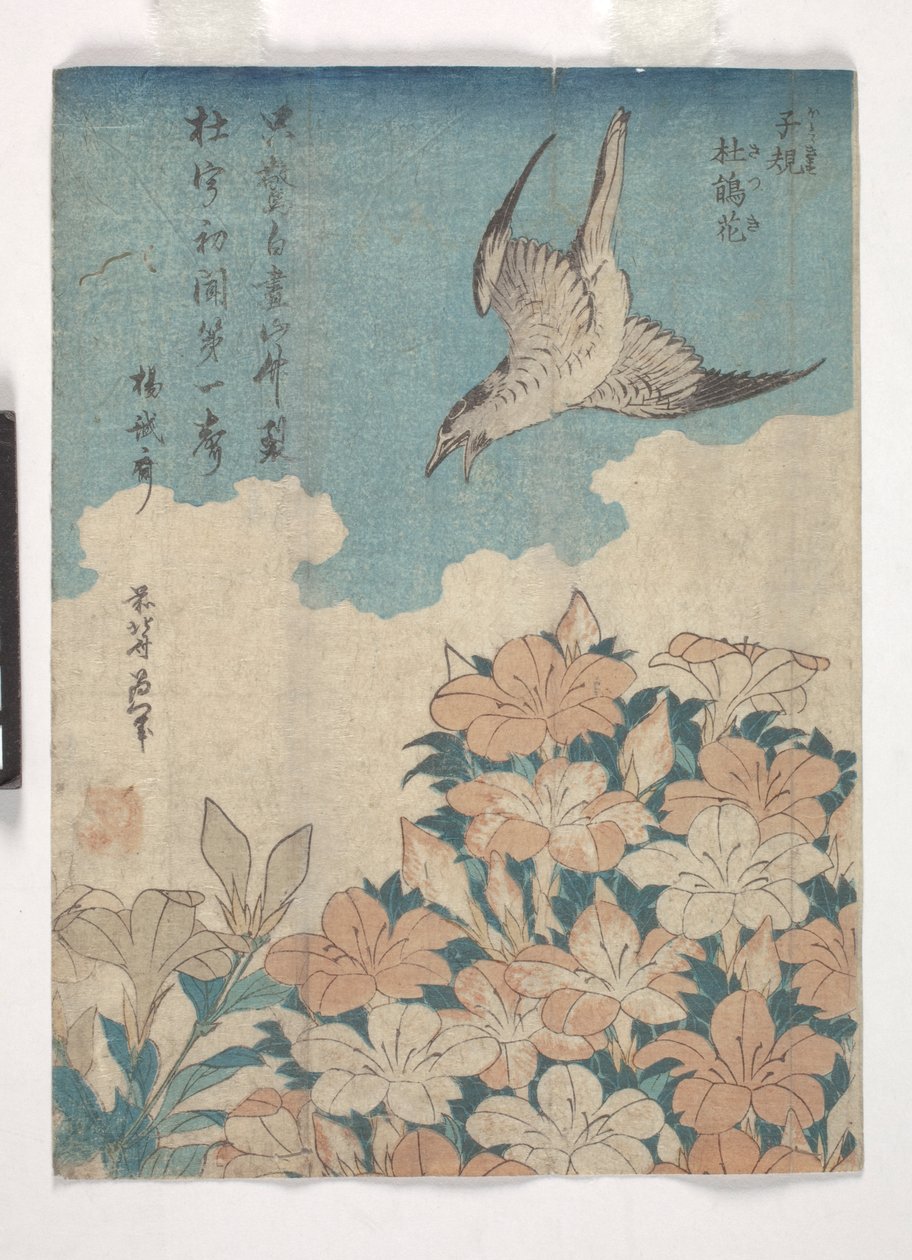 Kuckuck und Azalee (Farbholzschnitt) von Katsushika Hokusai