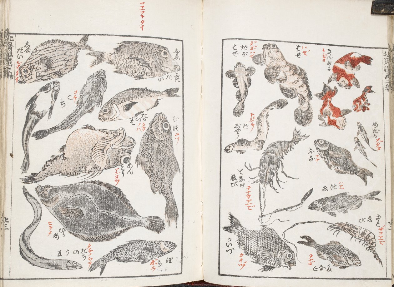 Fische und Meereskreaturen von Katsushika Hokusai