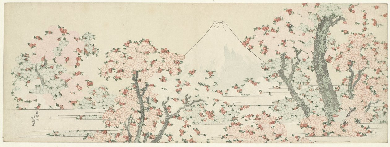 Fuji über Kirschblüten, ca. 1800-1805 von Katsushika Hokusai
