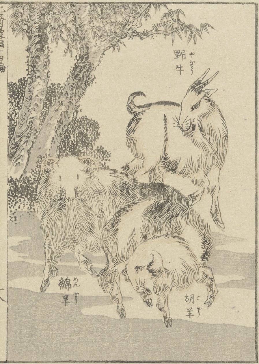 Ziegen, ca. 1840 von Katsushika Hokusai