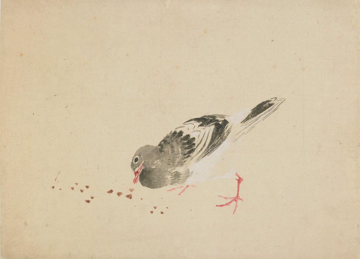Taube von Katsushika Hokusai