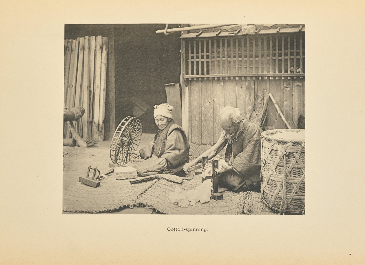 Baumwollspinnen von Kazumasa Ogawa