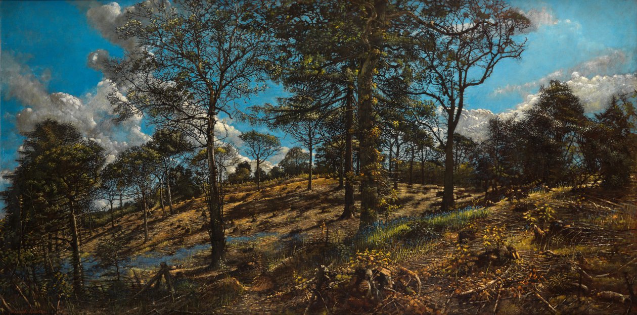 Bigbury Wood von Kenneth Newton