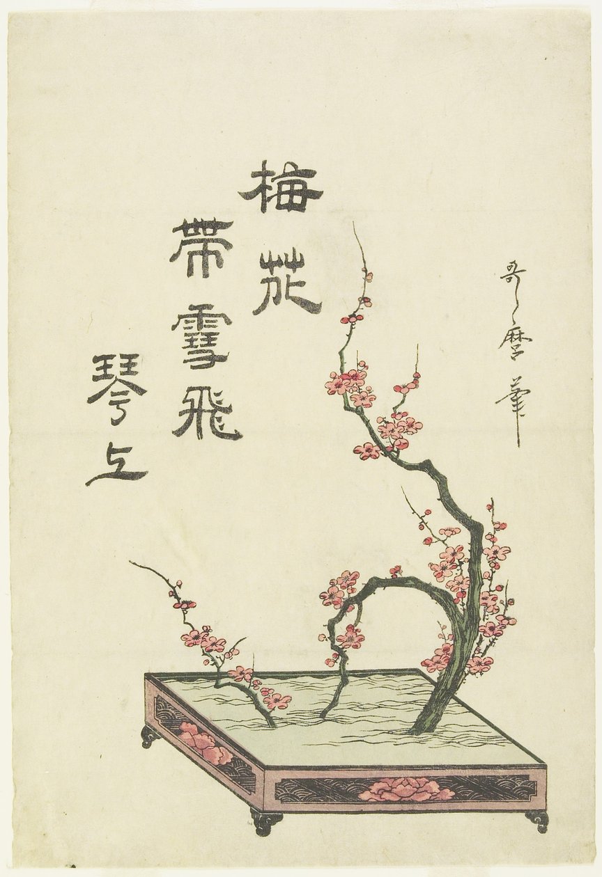 Pflaumenblumen-Arrangement von Kitagawa Utamaro