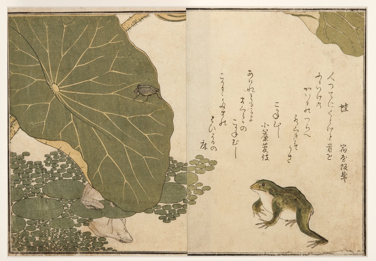Frösche und goldener Käfer, 1788 von Kitagawa Utamaro